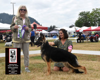 Reserve Winners Bitch Best Opposite Puppy