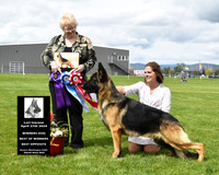Winners Dog Best of Winners Best Opposite