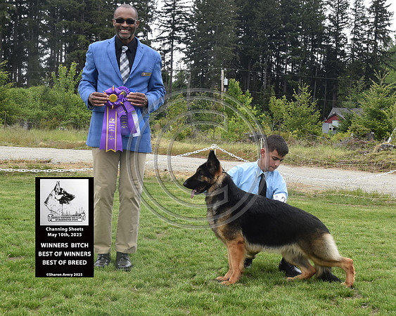 Winners Bitch Best of Winners Best of Breed