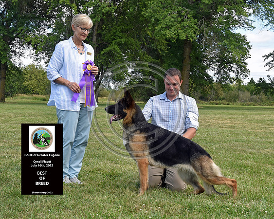 Best of Breed