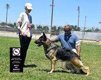 Golden State GSDC of San Jose - Cyndi Flautt