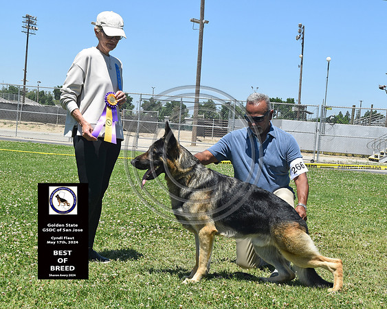 Best of Breed