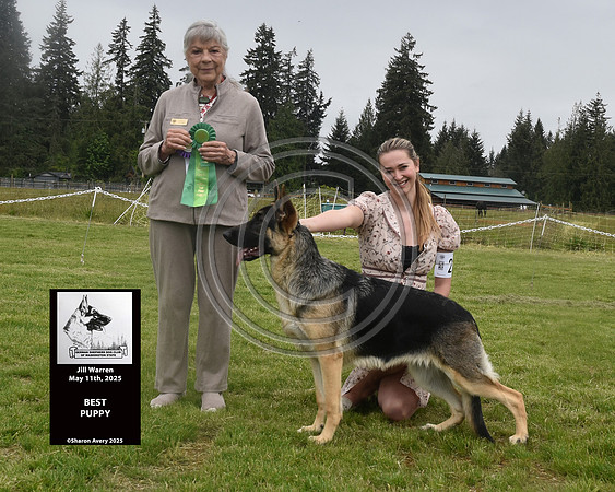 Reserve Winners Bitch Best Puppy