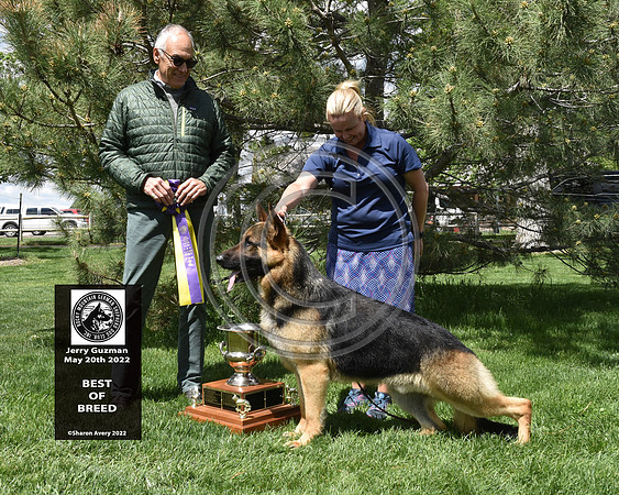 Best of Breed