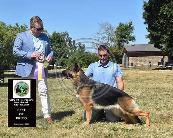 Best of Breed