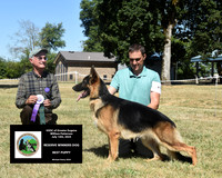 GSDC Greater Eugene - William Petterson