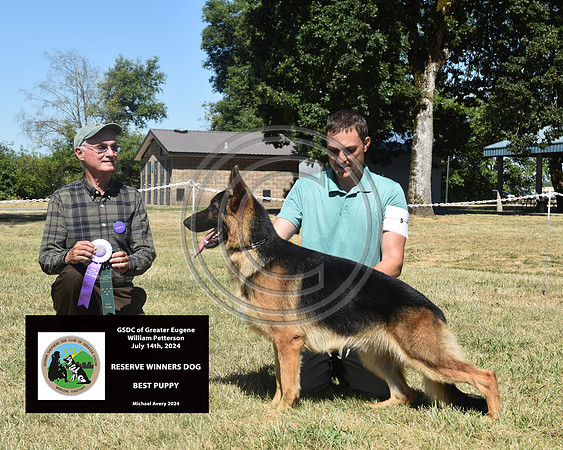 Reserve Winners Dog Best Puppy