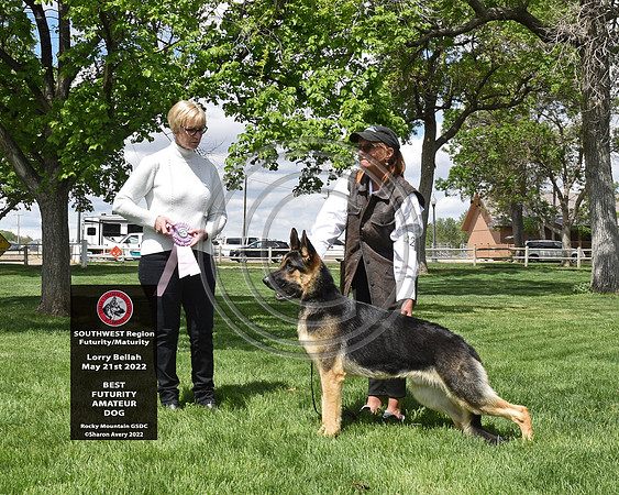 Best Futurity Amateur Dog