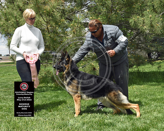 Reserve Maturity Dog