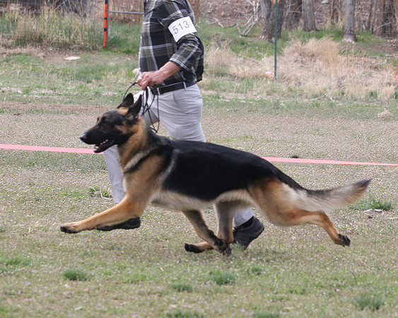 #513 Krystal's Luke Duke