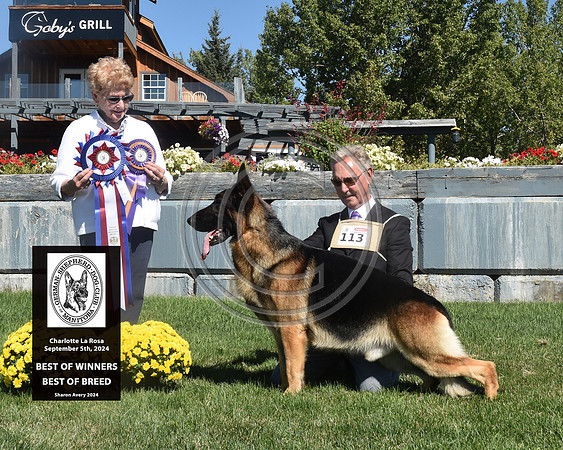 Best of Winners Best of Breed
