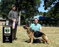 Best of Breed