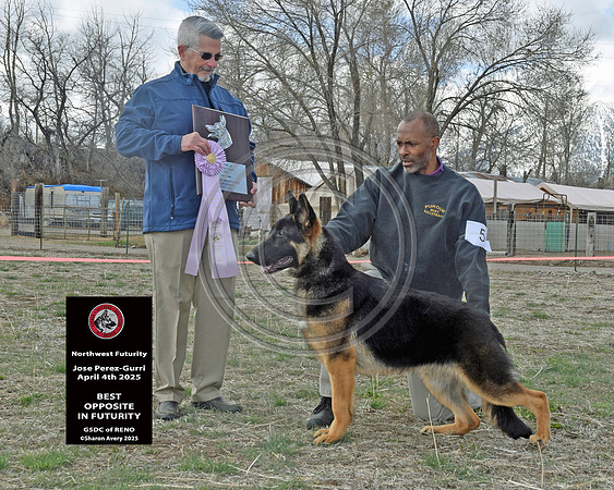 Best Opposite in Futurity