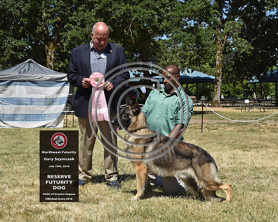 Reserve Futurity Dog
