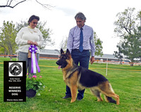 Reserve Winners Dog