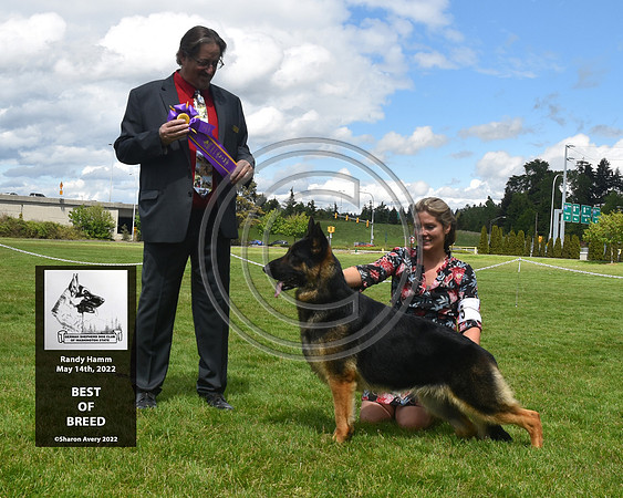 Best of Breed