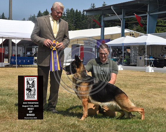 Best of Breed