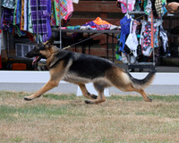 Winsome's Lille-Bear