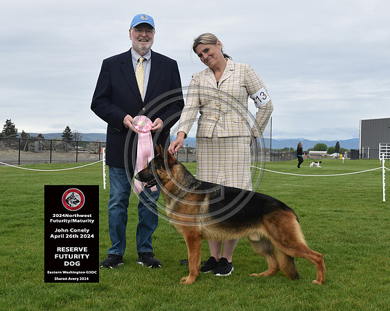 Reserve Futurity  Dog