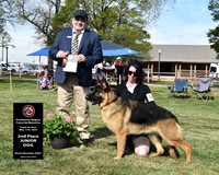 2nd Junior Dog