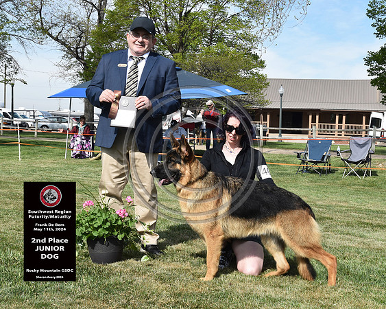 2nd Junior Dog