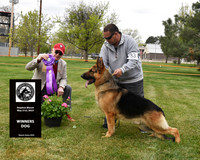 Winners Dog
