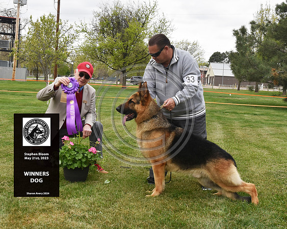 Winners Dog