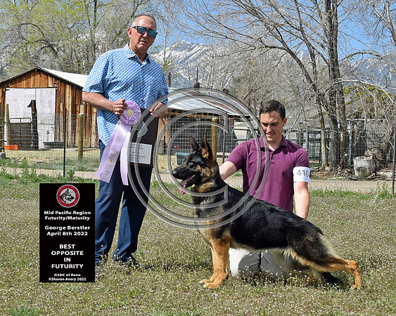 Best Opposite in Futurity