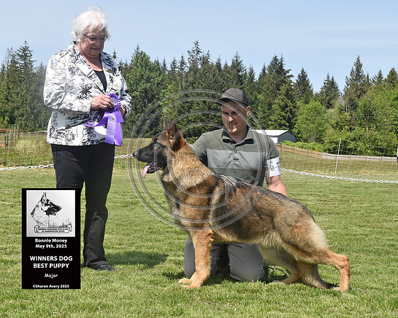 Winners Dog Best Puppy