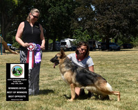 Winners Dog Best of Winners Best Opposite