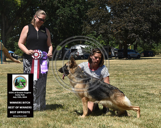 Winners Dog Best of Winners Best Opposite