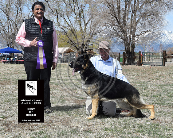 Best of Breed