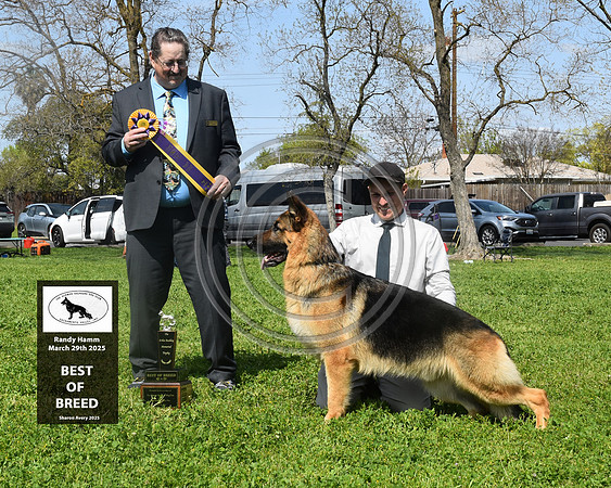 Best of Breed