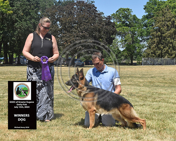Winners Dog