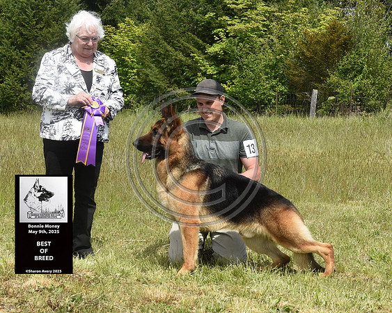 Best of Breed
