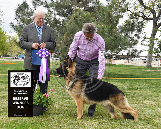 Reserve Winners Dog
