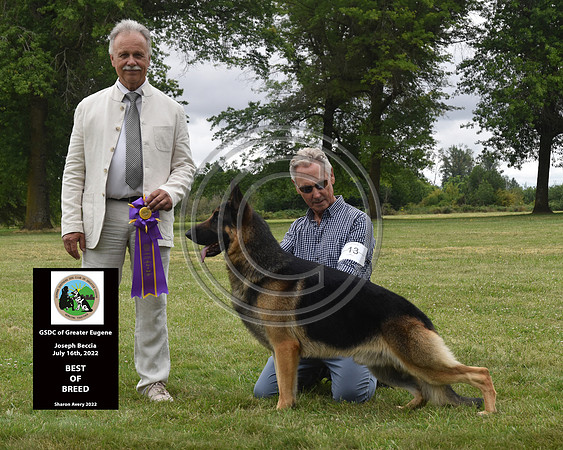 Best of Breed
