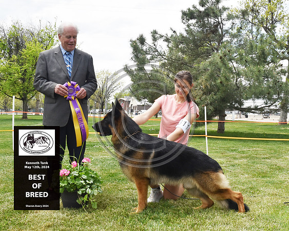 Best of Breed