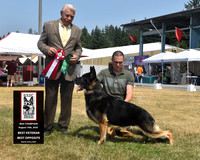 Veteran Dog Best Opposite