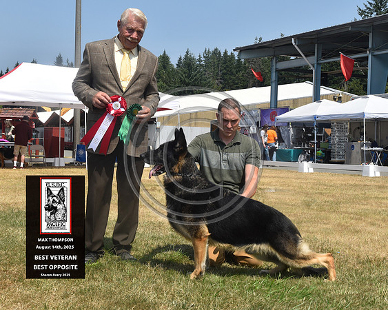 Veteran Dog Best Opposite