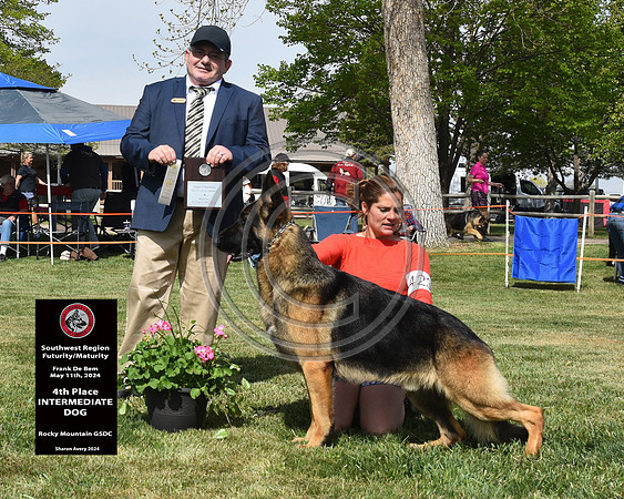 4th Intermediate Dog
