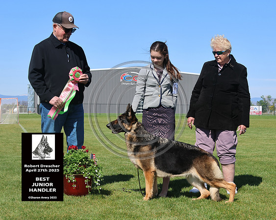 Best Junior Handler