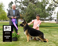 Winners Dog