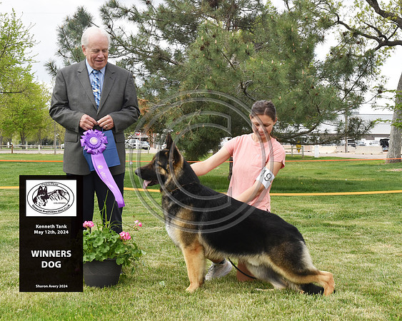 Winners Dog
