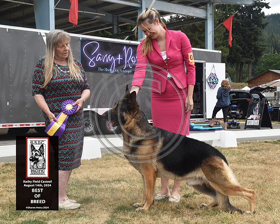 Best of Breed