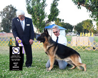 Best of Breed