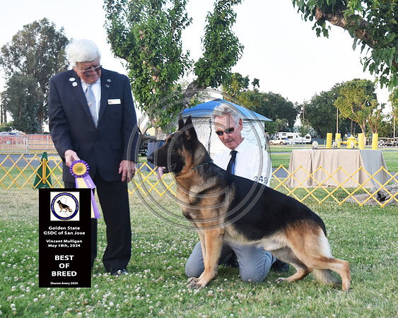 Best of Breed