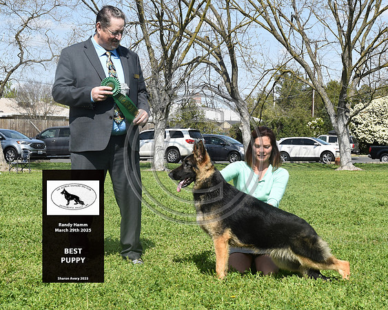 Best Puppy