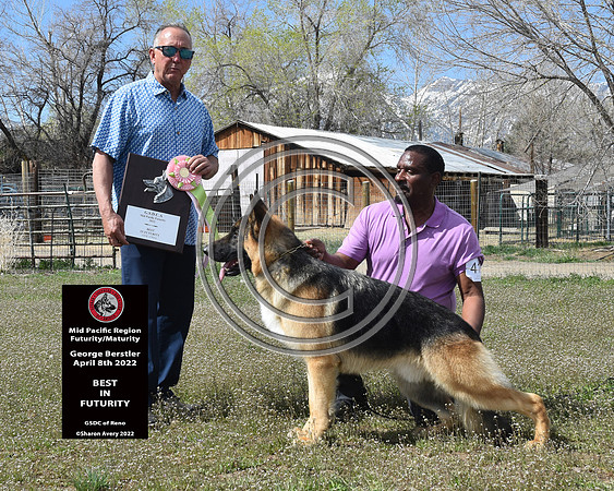 Best in Futurity