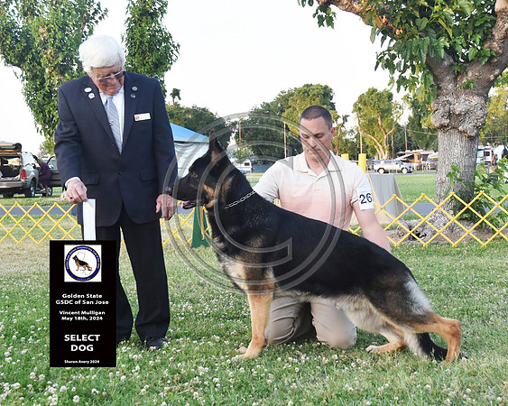 Select Dog